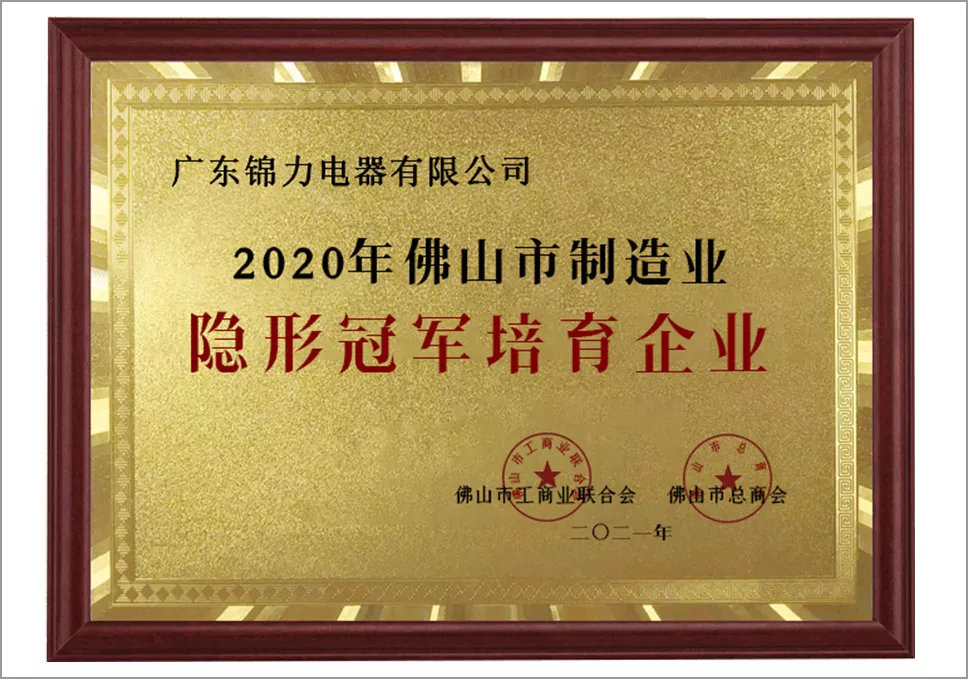 2020Invisible champion cultivation enterprise